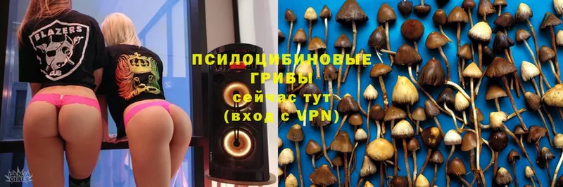 Псилоцибиновые грибы Magic Shrooms  kraken ONION  Новомосковск 